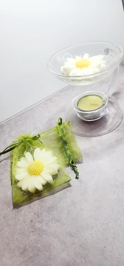 Daisy Candle Melt