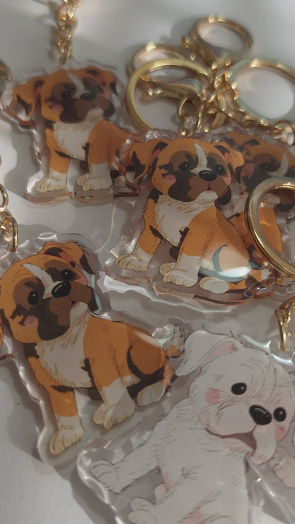 Boxer Keychain - White - 038