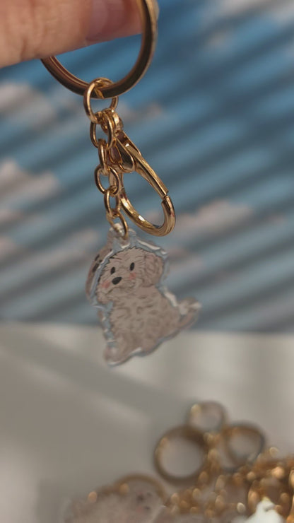 Cavoodle Keychain - White - 021