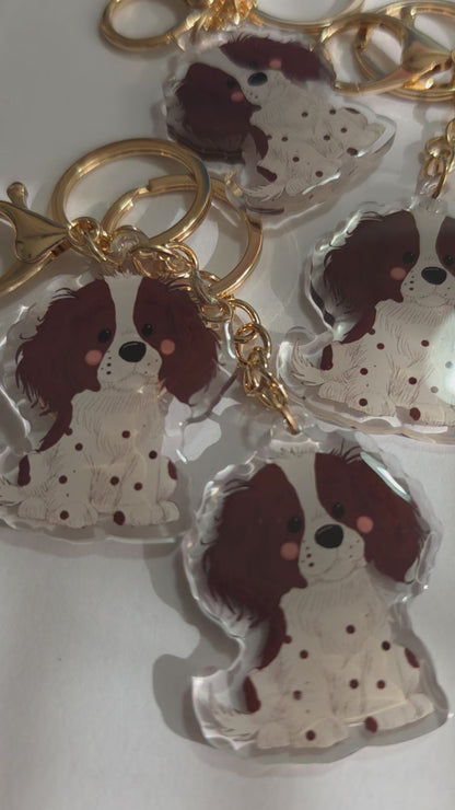 Springer Spaniel Keychain - Brown and White - 061