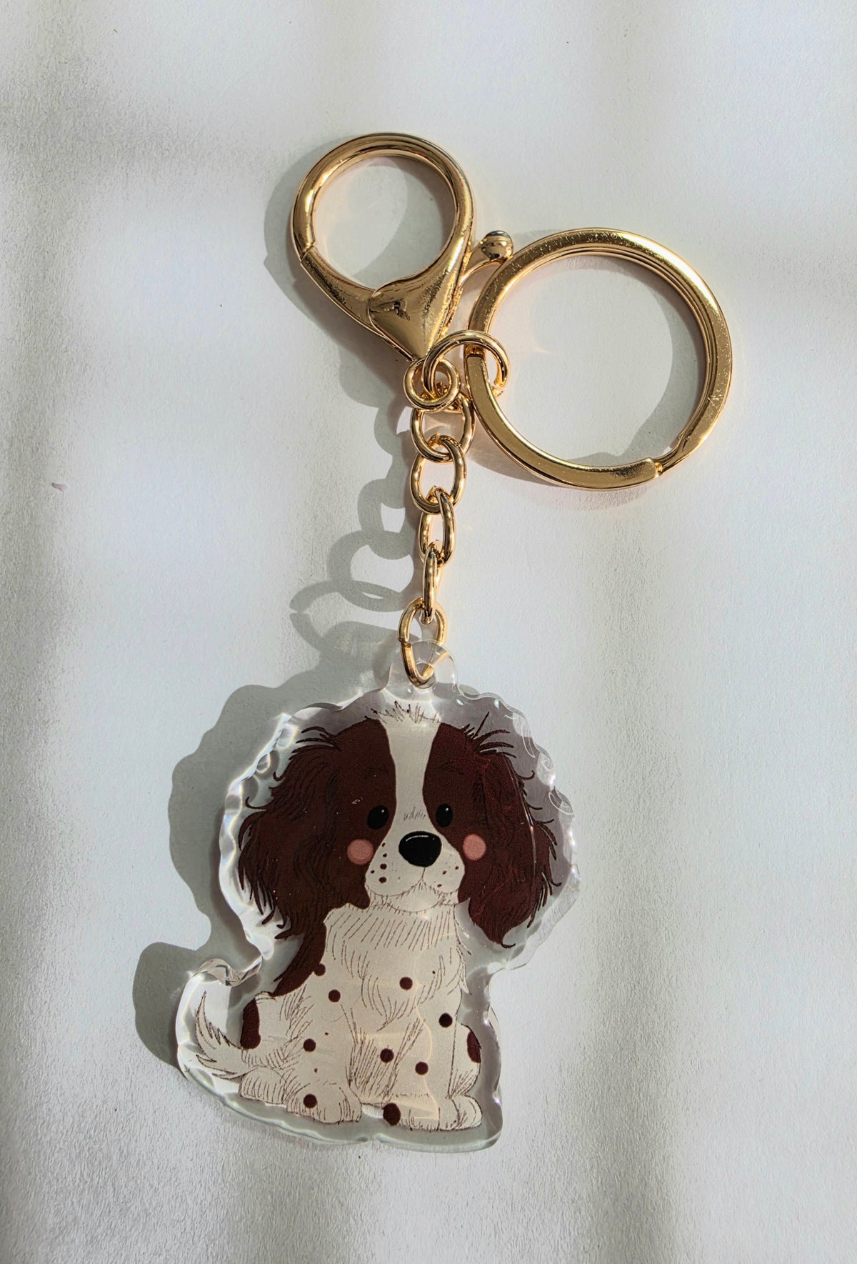 Springer Spaniel Keychain - Brown and White - 061