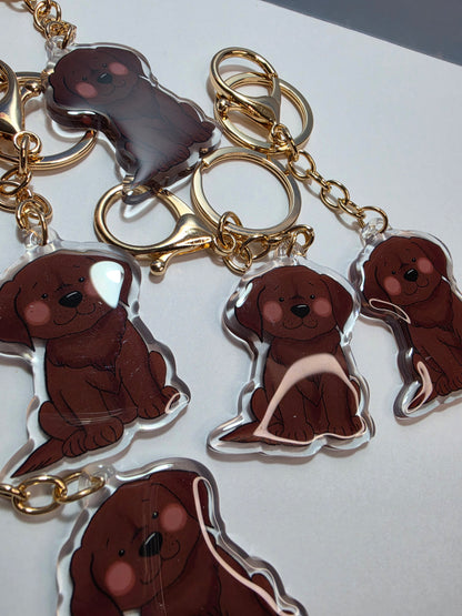 Labrador Keychain - Chocolate - 013